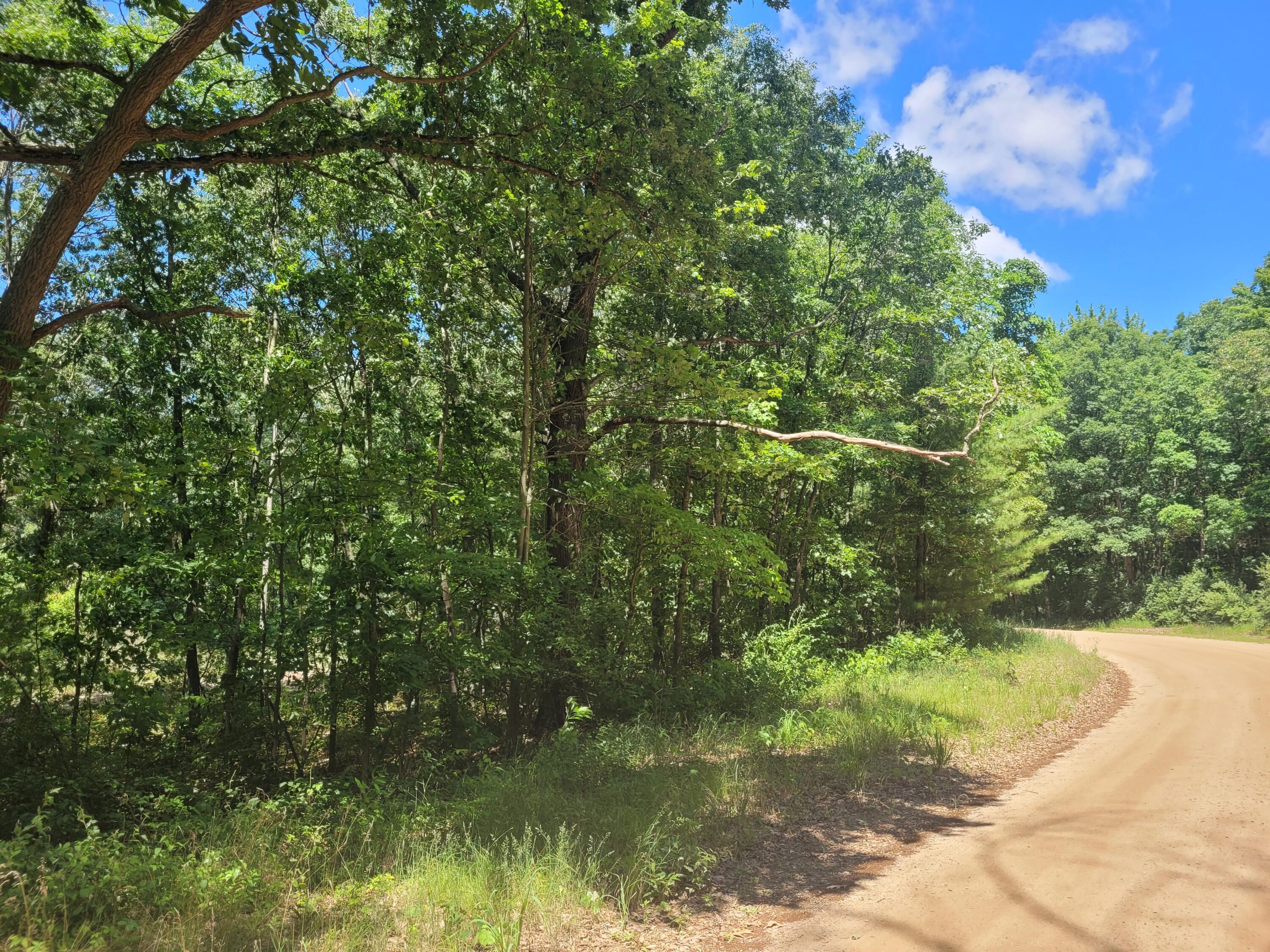 Property Photo:  Vl Round Lake Drive  MI 49408 