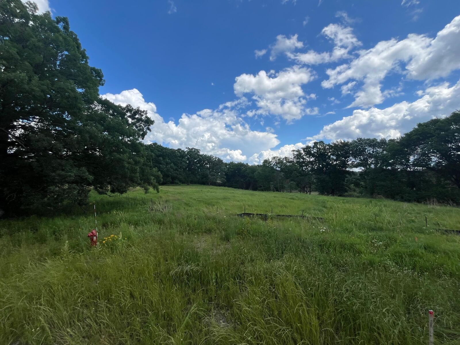 Property Photo:  14 Black Lake Road  MN 55127 