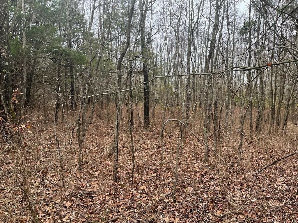 Lot 17 - Block 1 Oniell Circle  Bella Vista AR 72715 photo