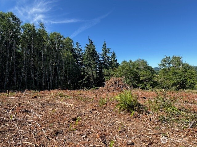 Property Photo: 0 Nelson Road WA 98596