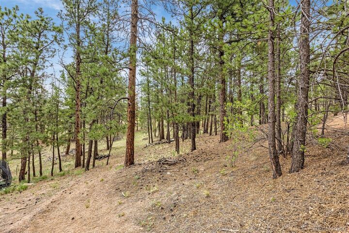 Property Photo:  77 Monarch Drive  CO 80816 