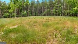 Property Photo: 0 Buckhorn Road GA 30523