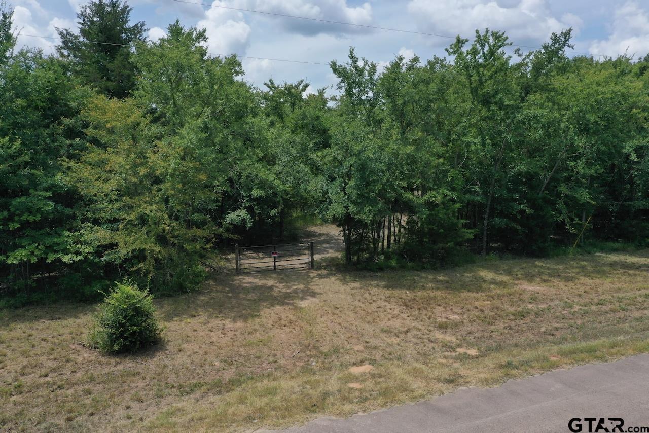 Property Photo: 22417 Cr 455 TX 75773