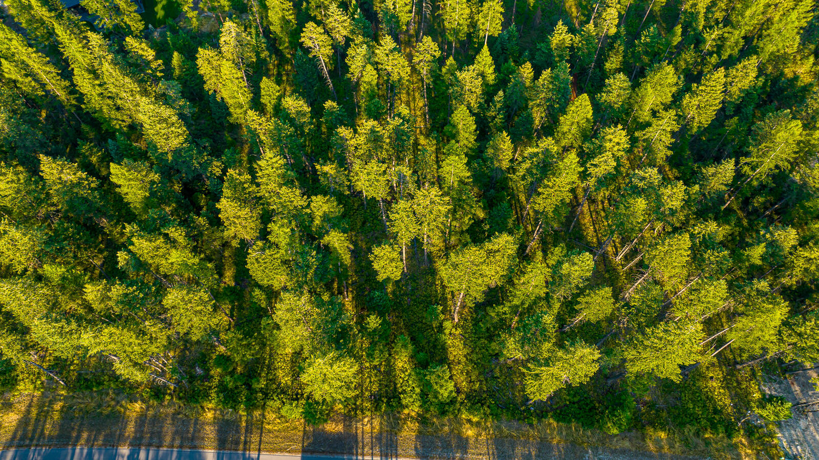 Property Photo:  1323 Whitefish Village Drive  MT 59937 