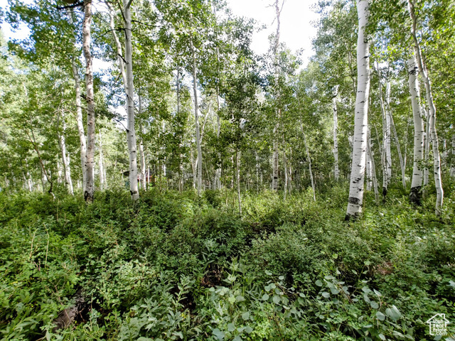 Property Photo: 11457 E Marigold Ln 1663 UT 84032