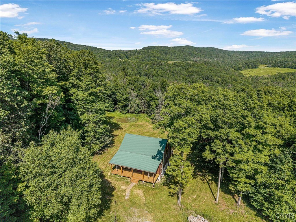 4902 McMaster Road  Cameron NY 14819 photo