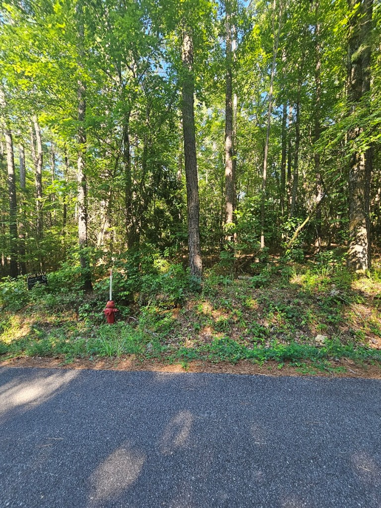 Property Photo:  37C Red Oak Drive  GA 31831 