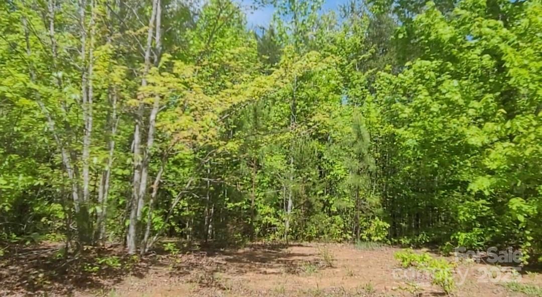 Property Photo: 3601 Big Level Road NC 28756