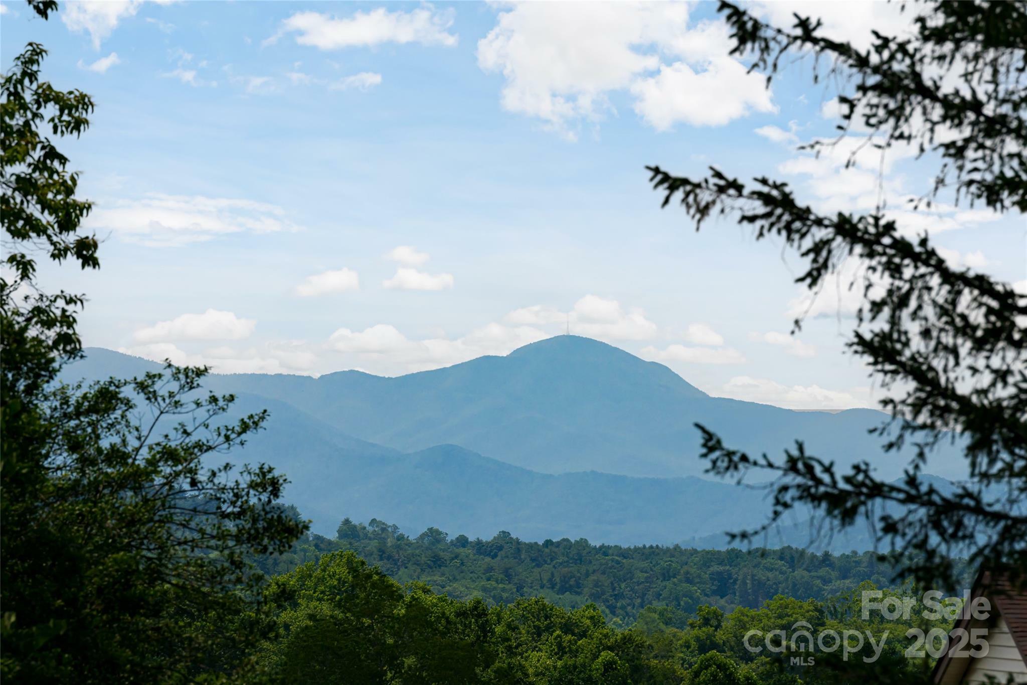 Property Photo: 157 Wendy Lane NC 28792