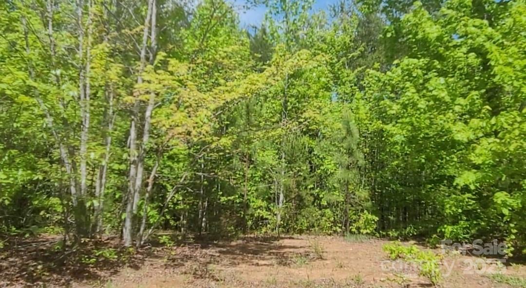 Property Photo: 3601 Big Level Road NC 28756