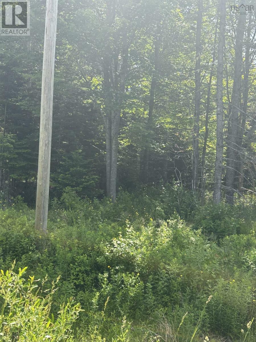 Property Photo:  Lot Beechmont Road  NS B2A 4K3 