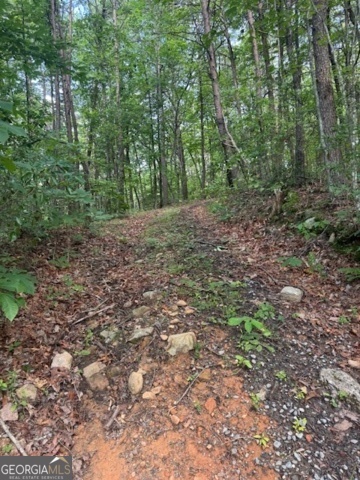 Property Photo: 10.96 Ac Paramount Trail GA 30536