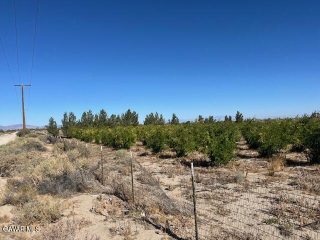 Property Photo: Cor Palmdale Pav Longvi CA 93543