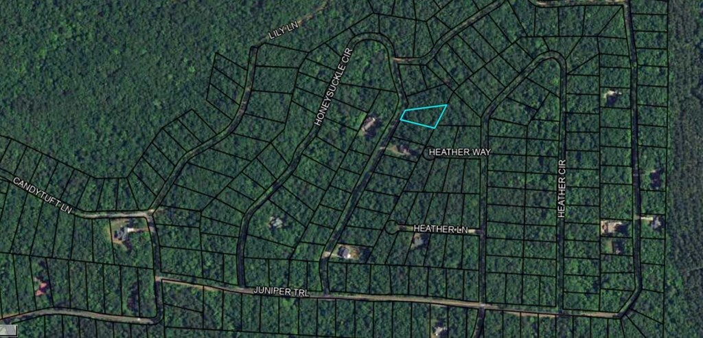 Property Photo:  Blk 27 Lot 22 Honeysuckle Circle  GA 31831 