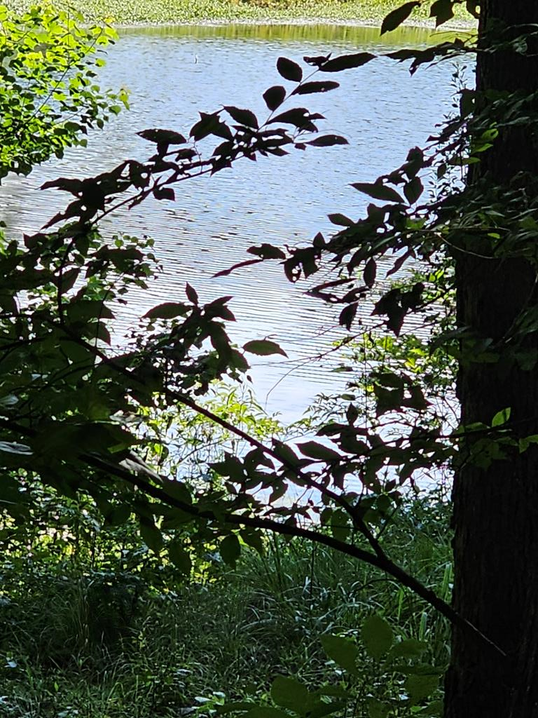 Property Photo:  Lot21f Lakeshore Drive  GA 31831 