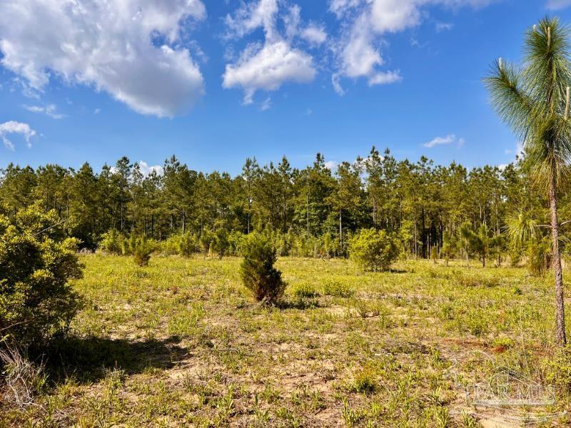 Property Photo:  Lot 53 South Timber Ln  FL 32571 