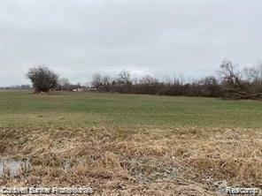Property Photo: 00000 N Dixie MI 48166