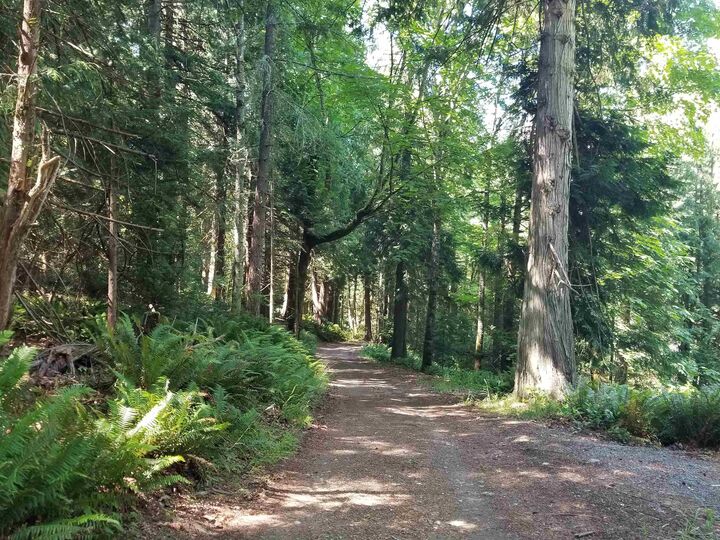 Property Photo: Lot A Lord Road BC V0N 1P0