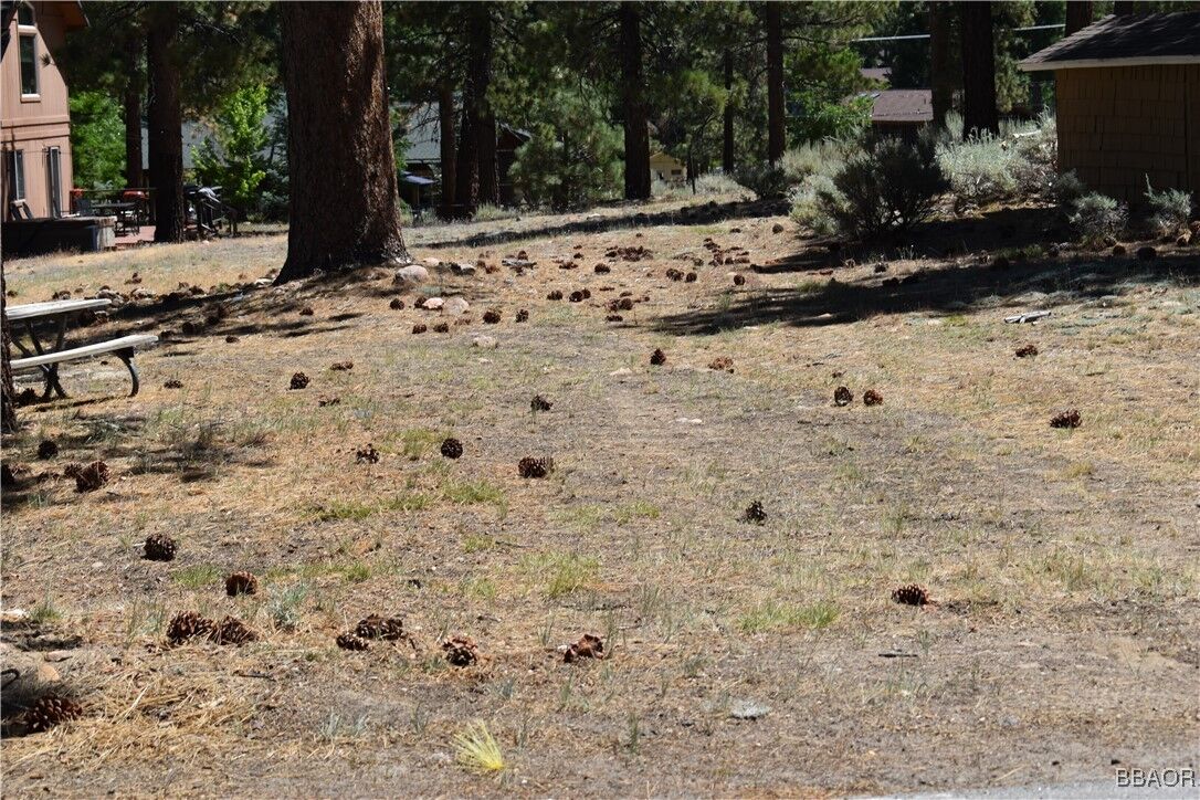 Property Photo:  0 Forest Road  CA 92315 