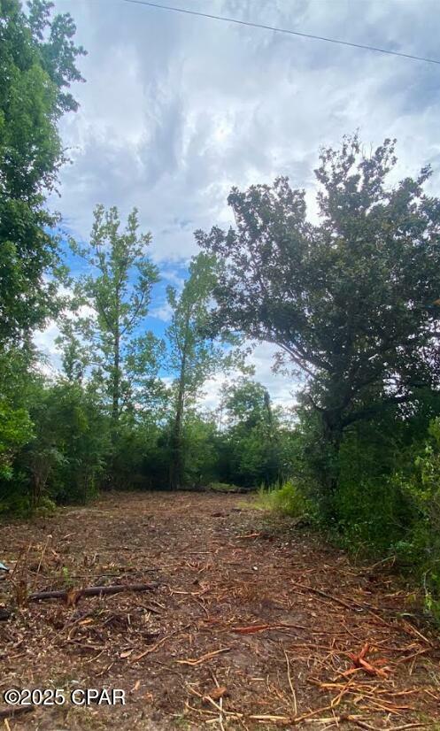 Property Photo: 0 Dogwood Street FL 32438