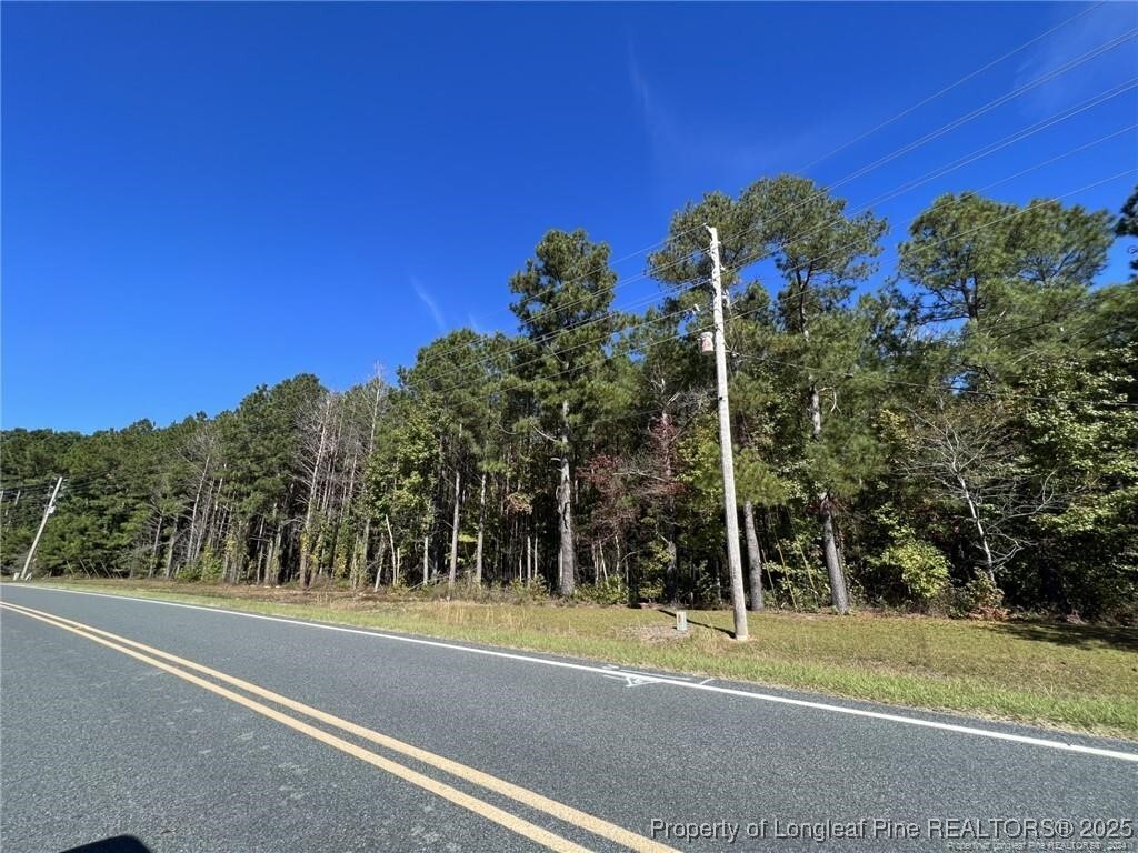 Property Photo: E Powersville Road NC 28358