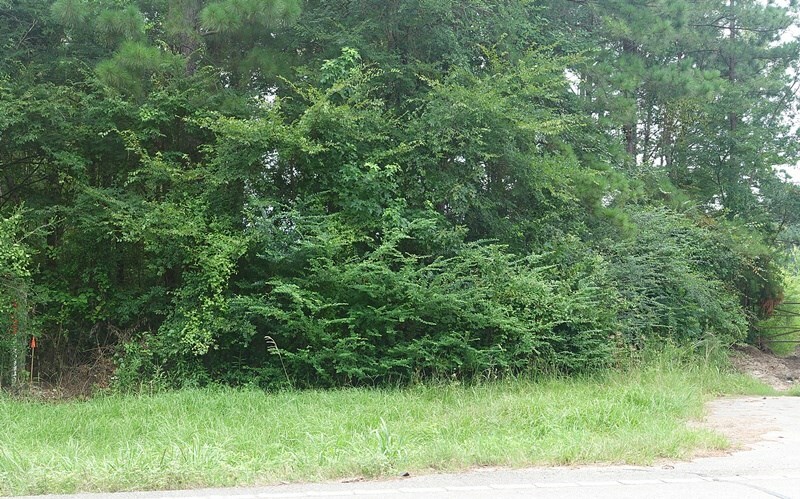 Property Photo: 1183 Fm 326 TX 75901