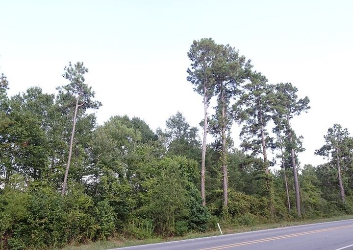 Property Photo:  1183/1249/1269 Fm 326  TX 75901 