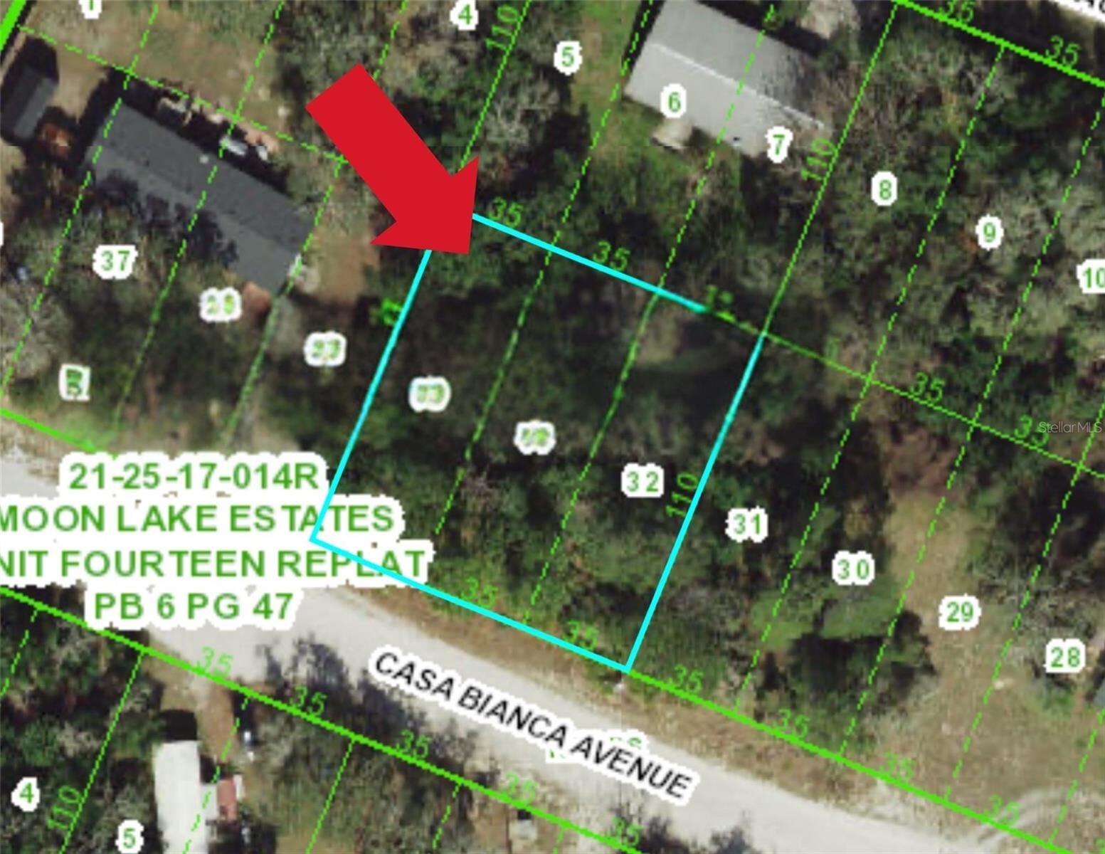 Property Photo:  12905 Casa Bianca Avenue  FL 34654 