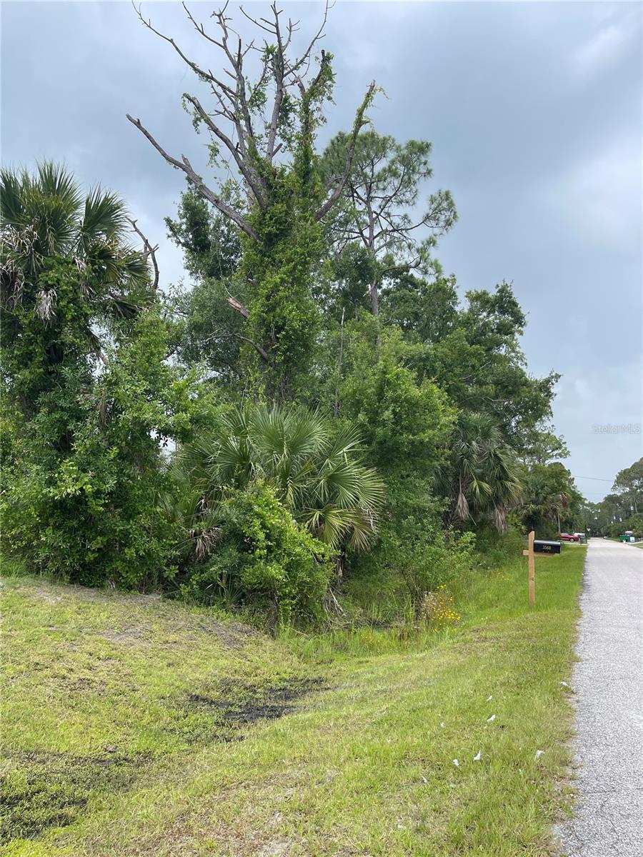 Property Photo: Bellafonte Avenue FL 34286