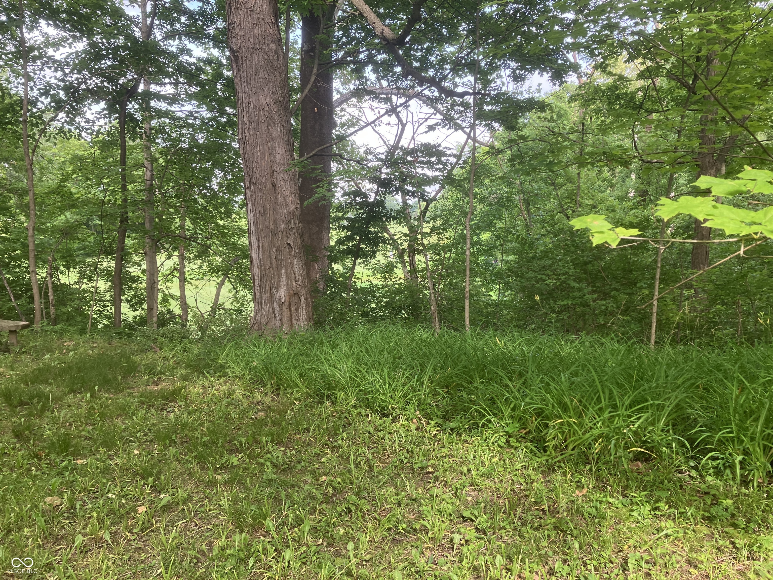 Property Photo: 11045 Westfield Boulevard IN 46280