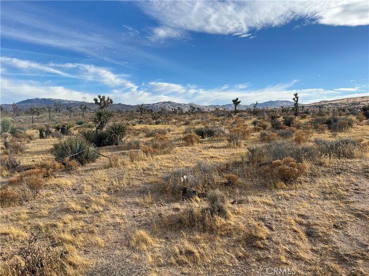 Property Photo: 23926 Poppy Road CA 92308