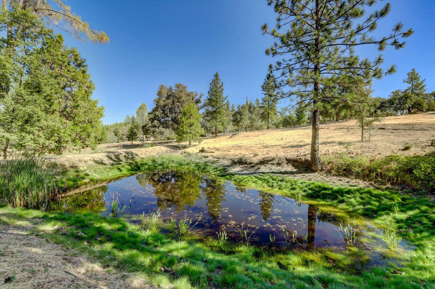 Property Photo: 11855 Conejo Court CA 95949