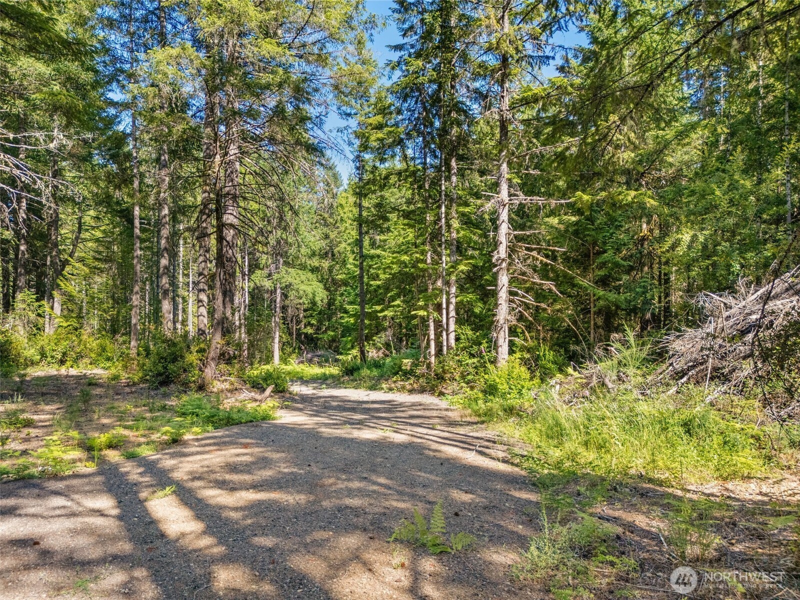 Property Photo:  0 Tr 3 E Mason Lake Road  WA 98546 