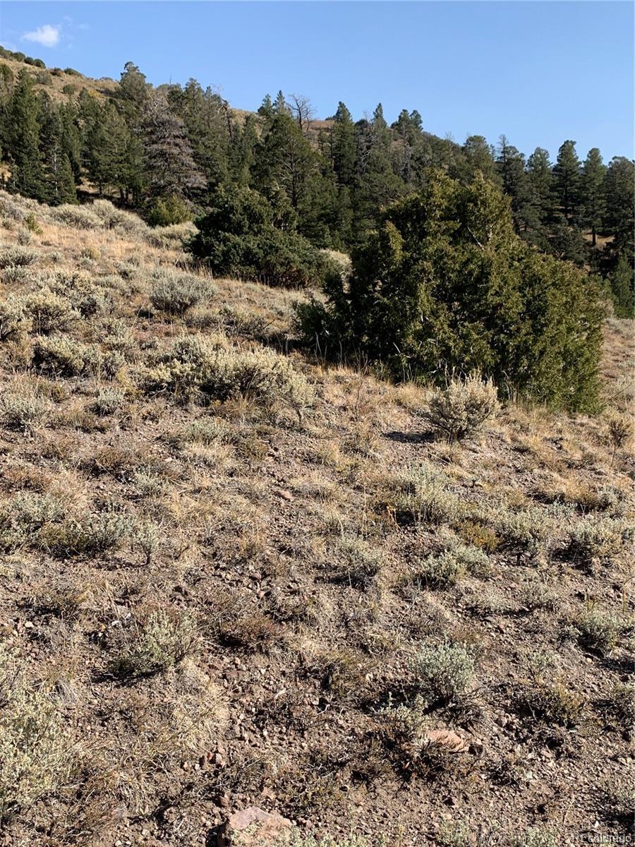 Property Photo:  5079&5087 Delancey Road  CO 81133 
