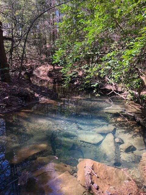 Property Photo:  0 Sullivan Mill Lane  TN 37338 