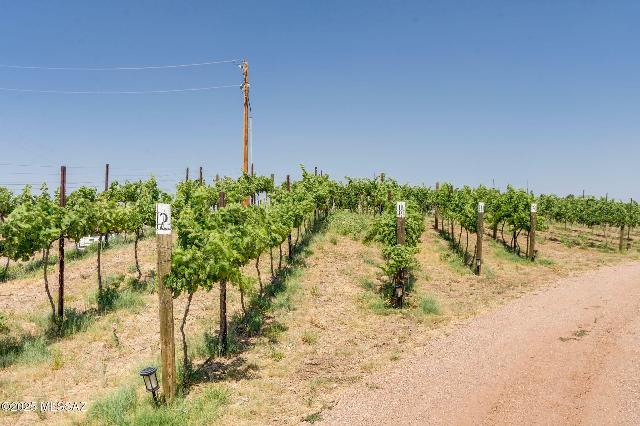 Property Photo: 78 Harvest Drive AZ 85637