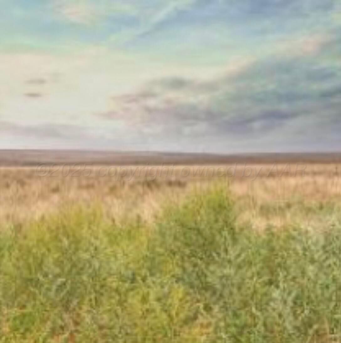 Property Photo:  Fm  2587  TX 79098