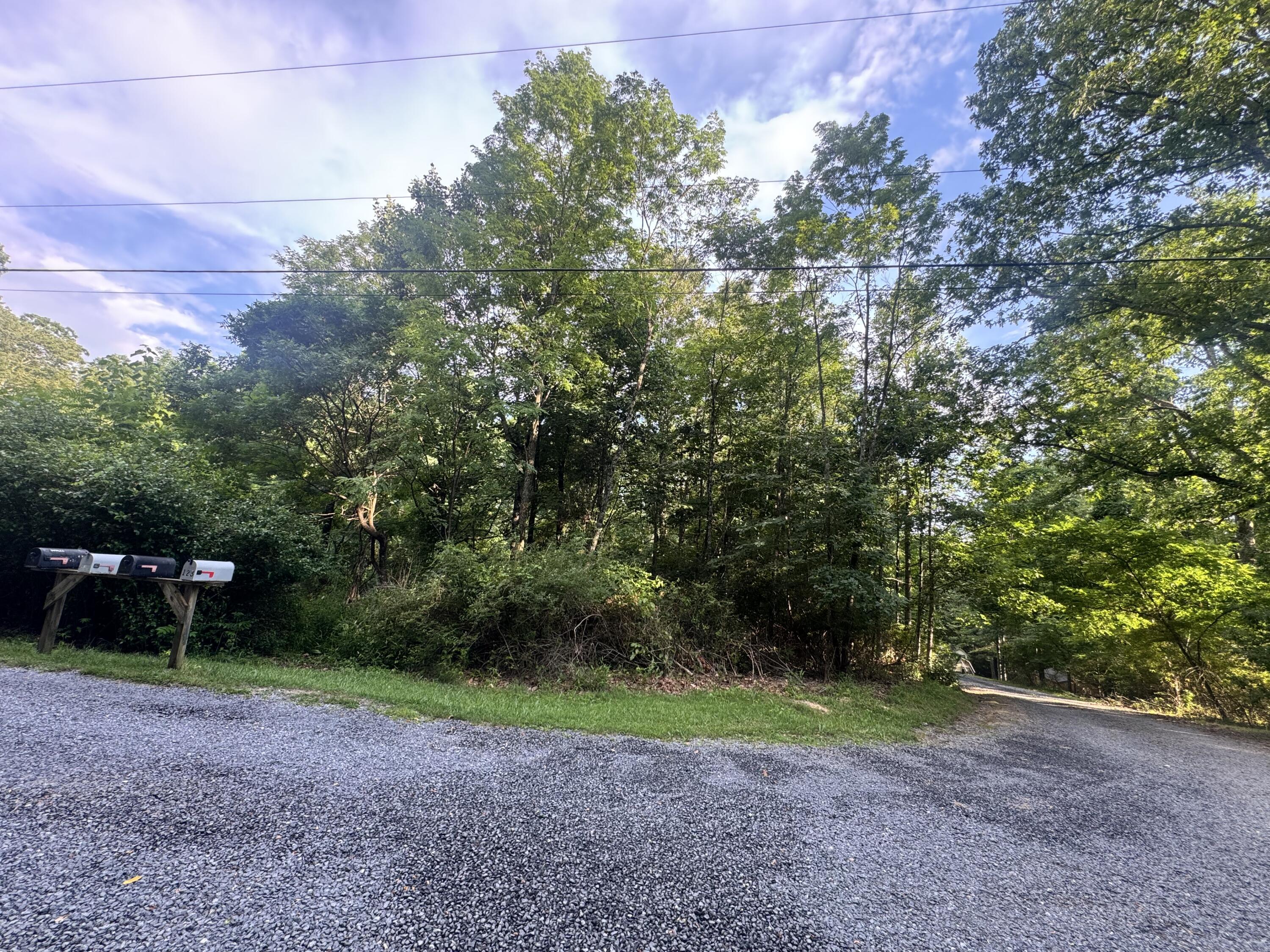 Property Photo: Irish Corner Rd WV 26651
