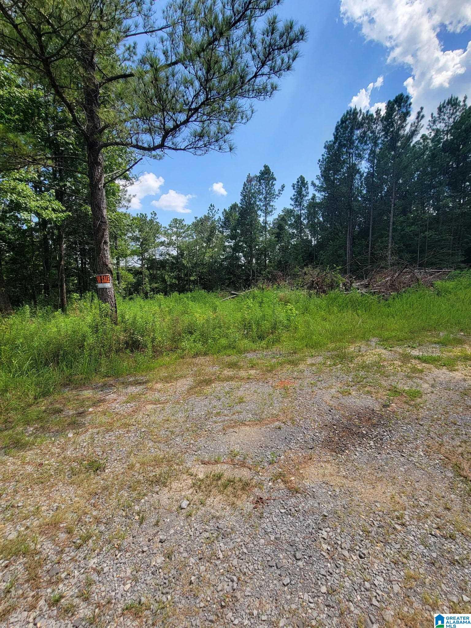Property Photo: 499 Sweet Apple Road None AL 35128