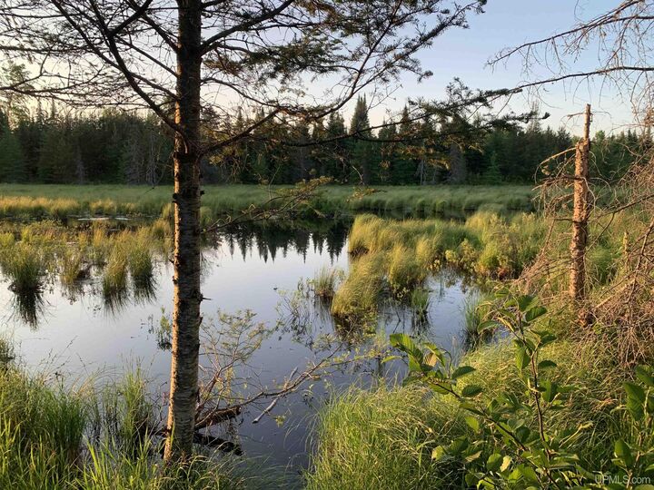 Property Photo:  280A Camp One Road  MI 49879 