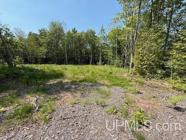 Property Photo: 8690 Freda Road MI 49905