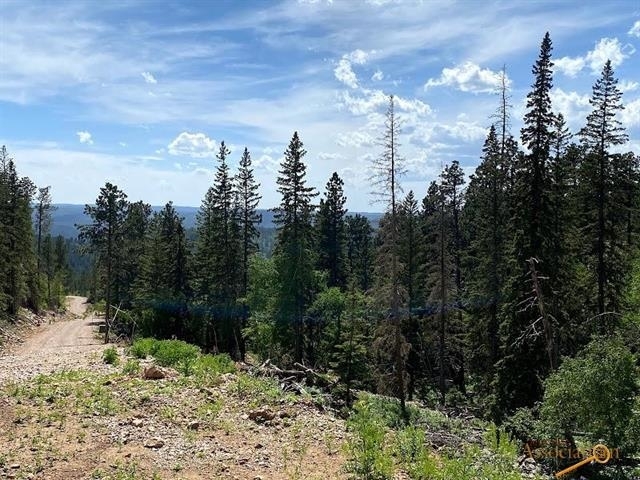 Property Photo: Lot 25 Blue Sky Loop SD 57754