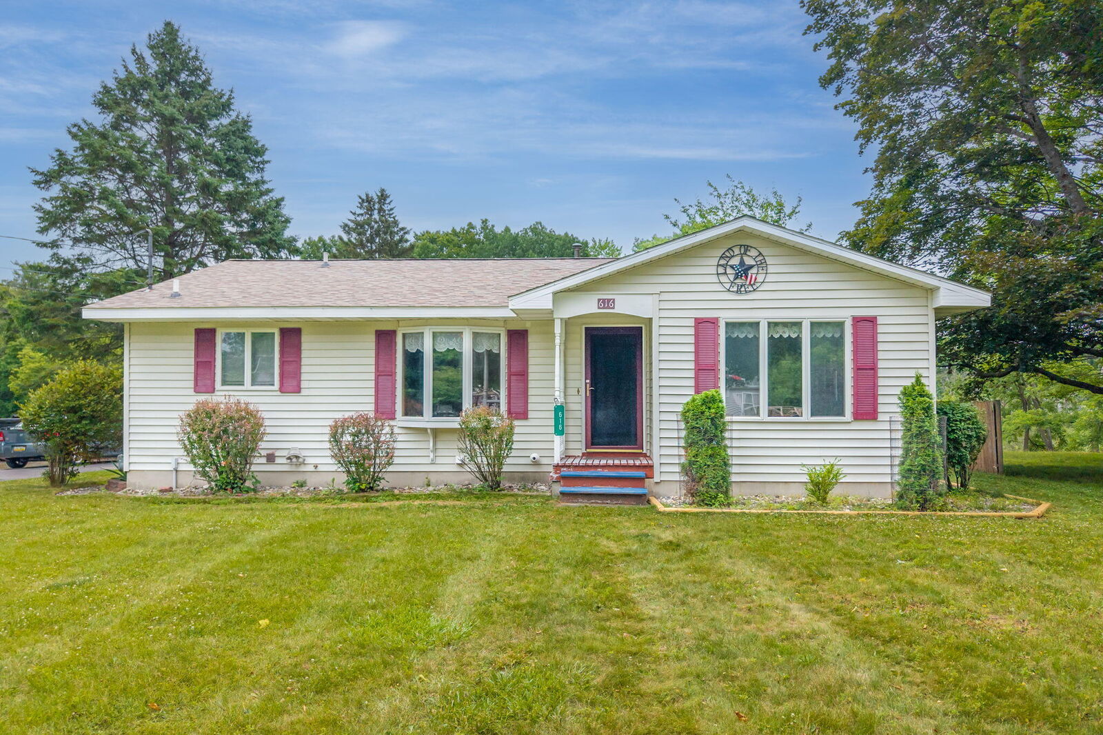 Property Photo:  616 N Lincoln Avenue  MI 48850 