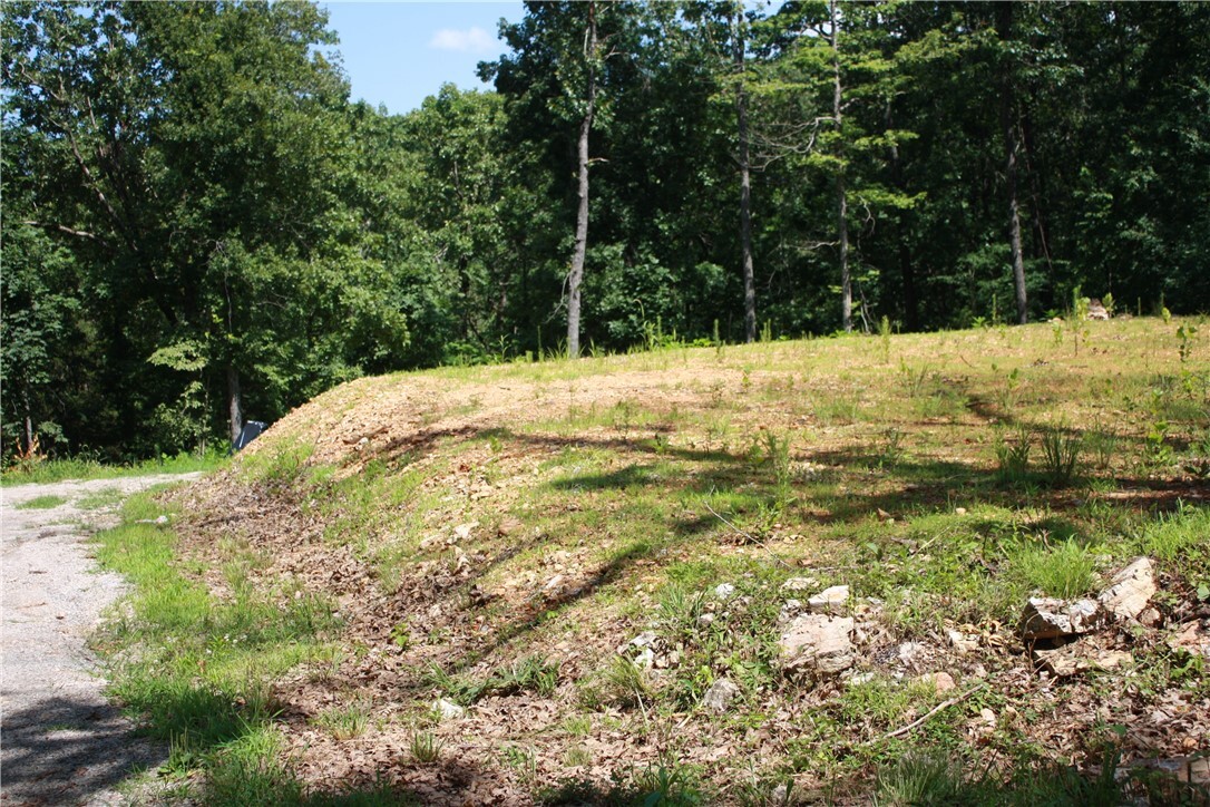 Property Photo:  263 S South Street  AR 72651 