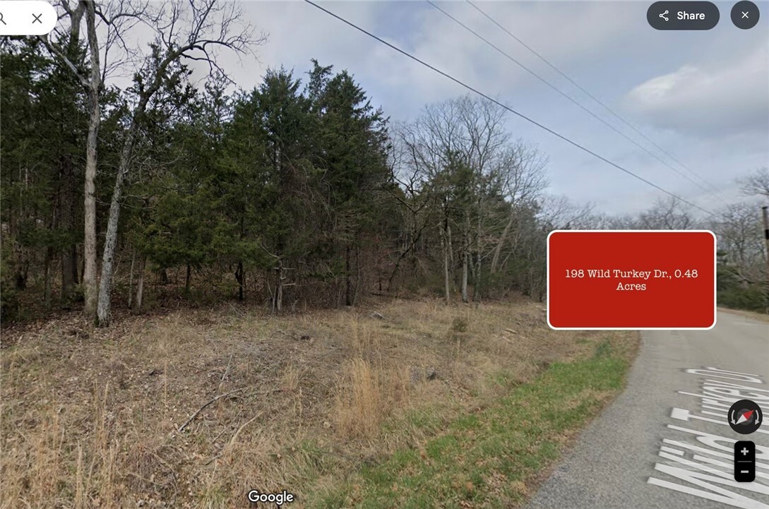 Property Photo:  198 Wild Turkey Drive  AR 72631 