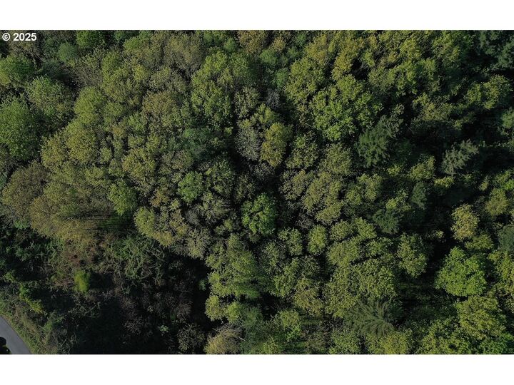 Property Photo: NW Ramsey Crest Dr OR 97229