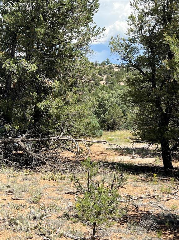 Property Photo: 216 West View Road CO 81223