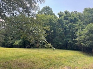 Property Photo: Womeldorf Lane OH 45692