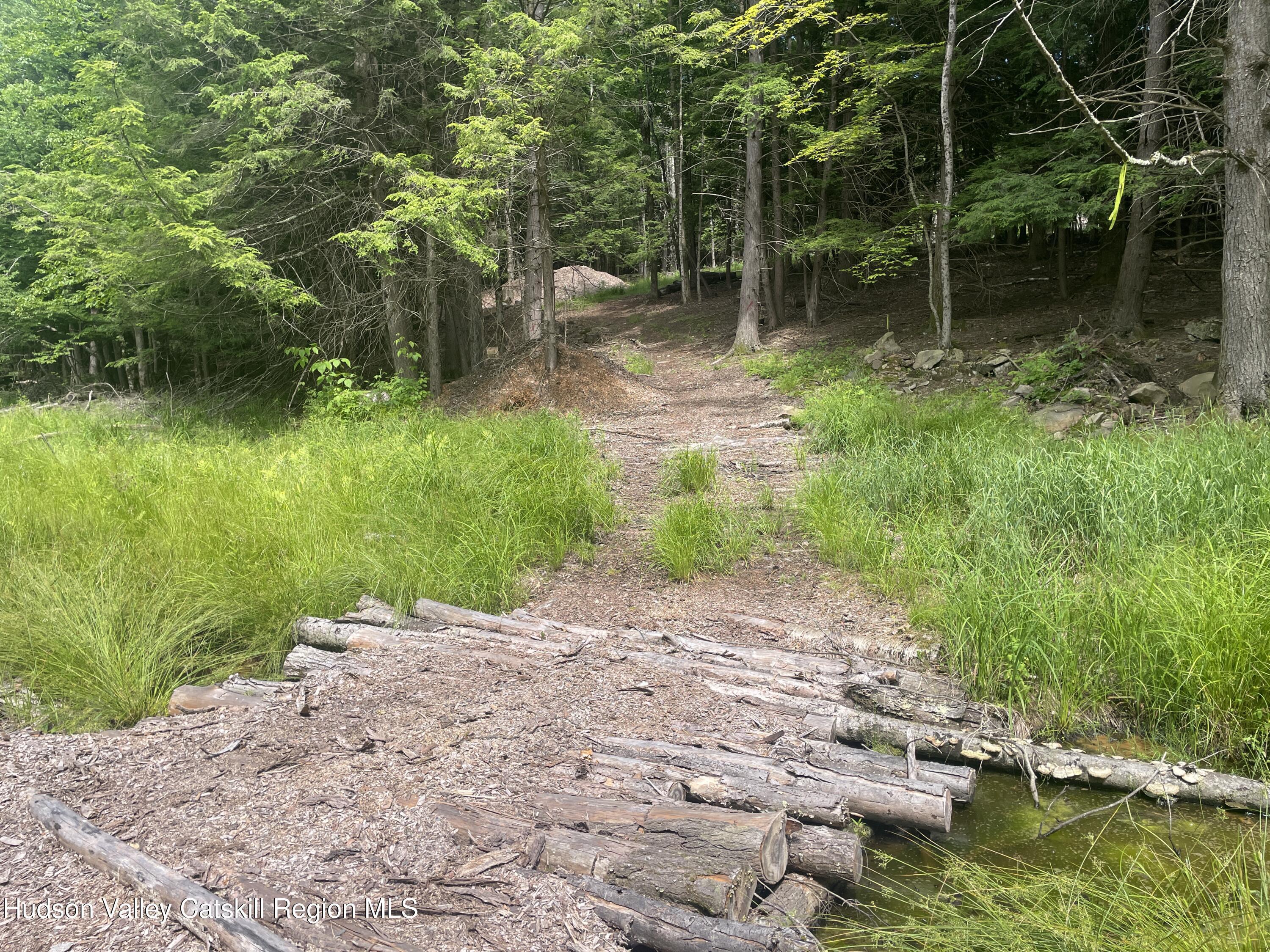 Property Photo:  Tbd Boulder Brook Rd Lot B12  NY 12496 