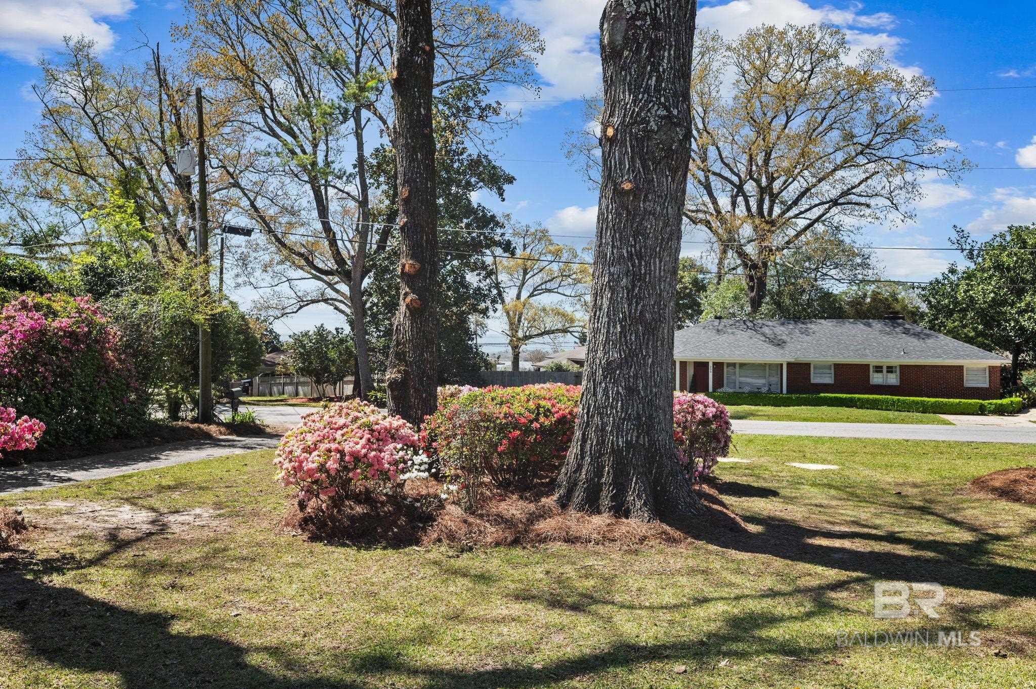 Property Photo: 209 Patrician Drive AL 36527